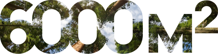 6000 м²