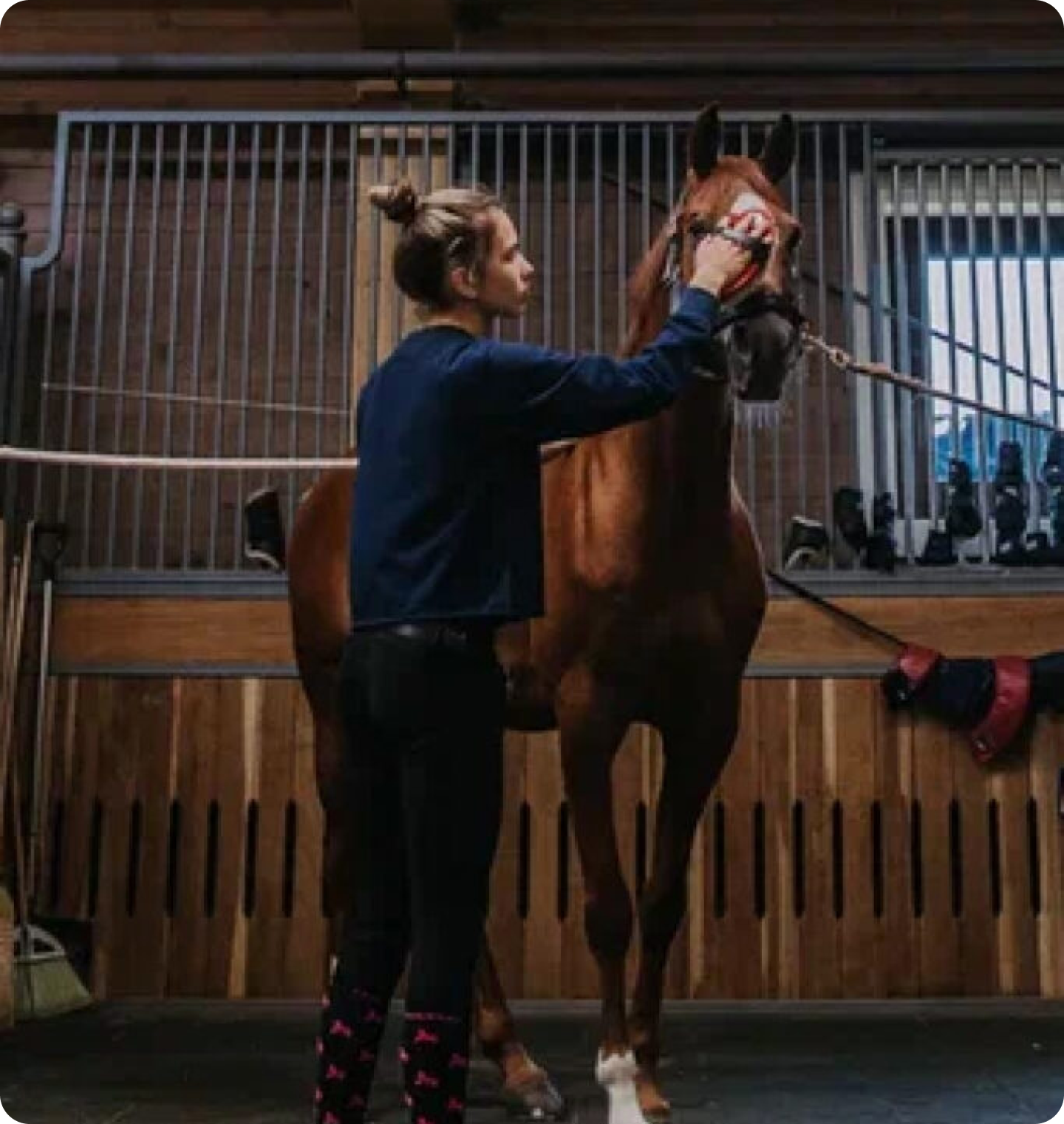 Конноспортивный клуб Emerald Stables